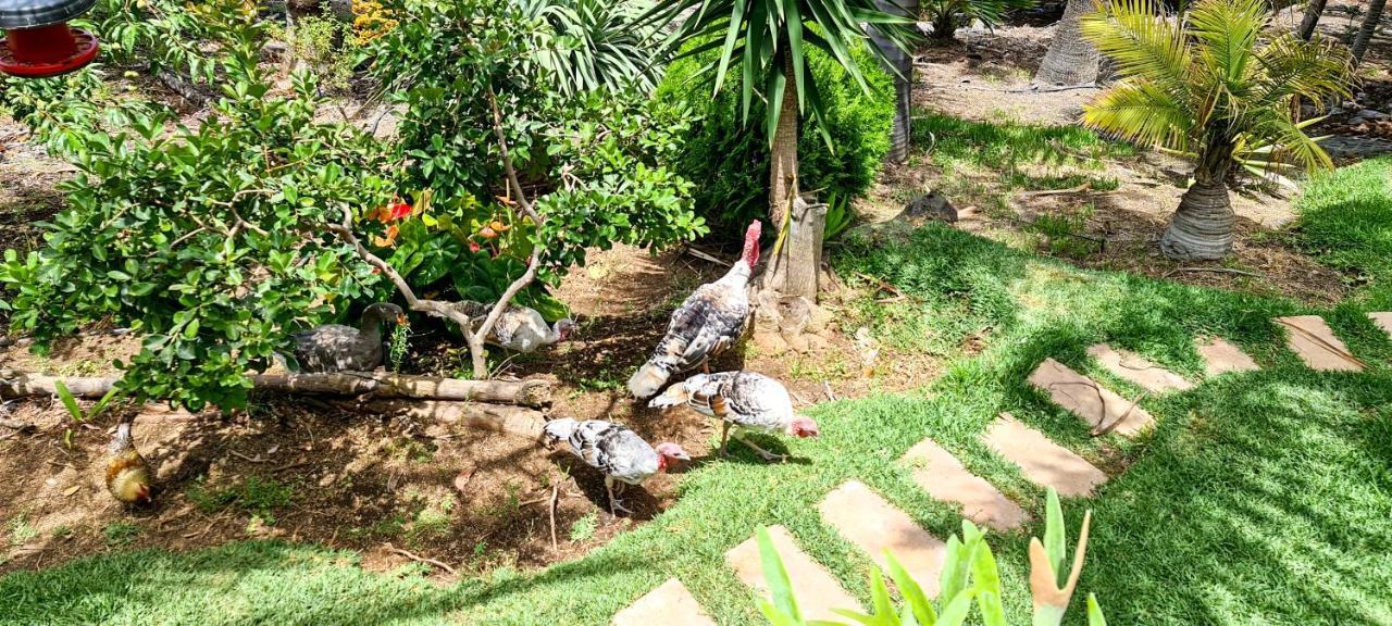 Casa Los Polveros Fuencaliente de la Palma Kültér fotó